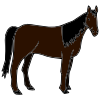 caballo Picture