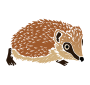 Hedgehog Stencil