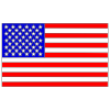 USA+Flag Picture
