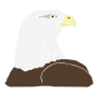 Bald Eagle Stencil