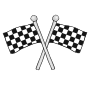 Checkered Flags Picture