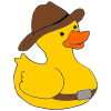 Cowboy Rubber Duck Picture