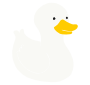 White Duck Stencil