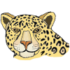 cheetah Picture