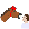 Do Not Look A Gift Horse in the Mouth Picture