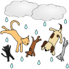 raining+cats+and+dogs Picture