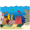 Coral Picture