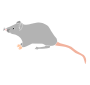 Rat Stencil