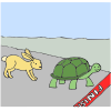 Tortoise and the Hare Picture
