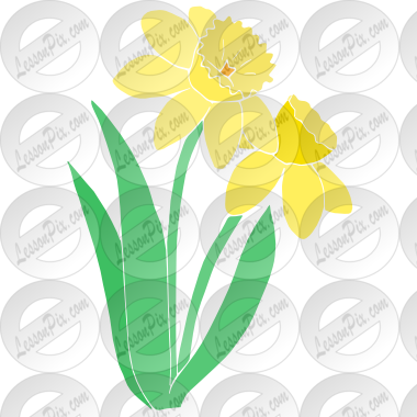 Daffodils Stencil