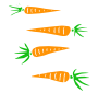 Carrots Stencil