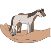 hold+your+horses Picture