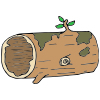 hollow+log Picture