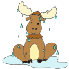 Wet Moose Picture