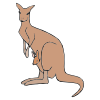 The+kangaroos+were+pouching Picture