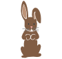 Chocolate Bunny Stencil