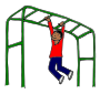 Monkey Bars Picture