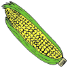 Yellow+corn Picture