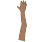 Raise Hand Picture