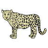 Leopard+Snarling Picture