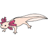 I+like+the+axolotl. Picture