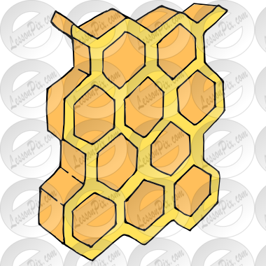 Honeycomb Picture