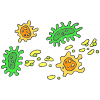 Bacteria Picture