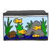 Fish+Aquarium Picture