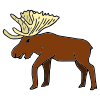 elk Picture