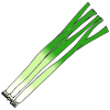 Green Onions Picture