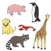 Animal+Magnets Picture