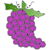 The+grapes+are+purple. Picture