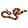 snake Picture