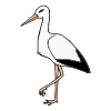 Stork Picture