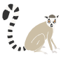 Lemur Stencil