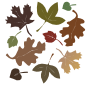 Dead Leaves Stencil