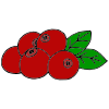 Cranberries+-+Crimson_Red Picture