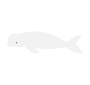 Beluga Whale Stencil