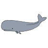 Blow+like+a+whale Picture