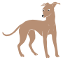 Greyhound Stencil