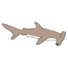 Hammerhead Shark Picture