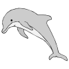 Jump+like+a+dolphin Picture