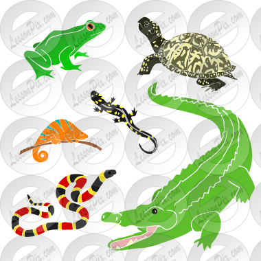 Reptiles and Amphibians Stencil