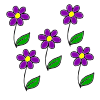 Flores Picture