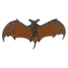 Vampire+Bat Picture