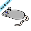Mouse Picture