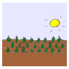 Fertilizers Picture
