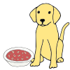 Feed Dog Alphabet Soup Picture