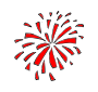 Firework Picture