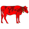 red+cow Picture